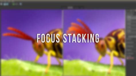 best focus stacking software|Best Focus Stacking Software in 2024 for Ultra Sharp Images.